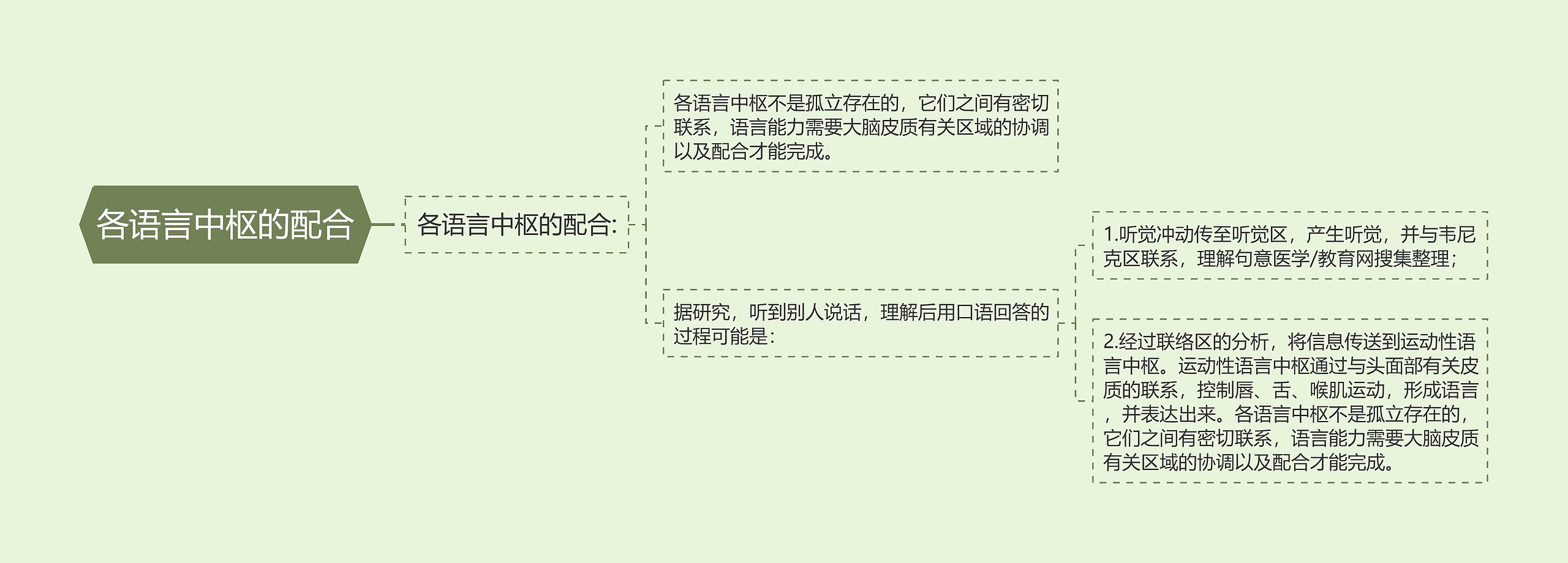 各语言中枢的配合 各语言中枢的配合