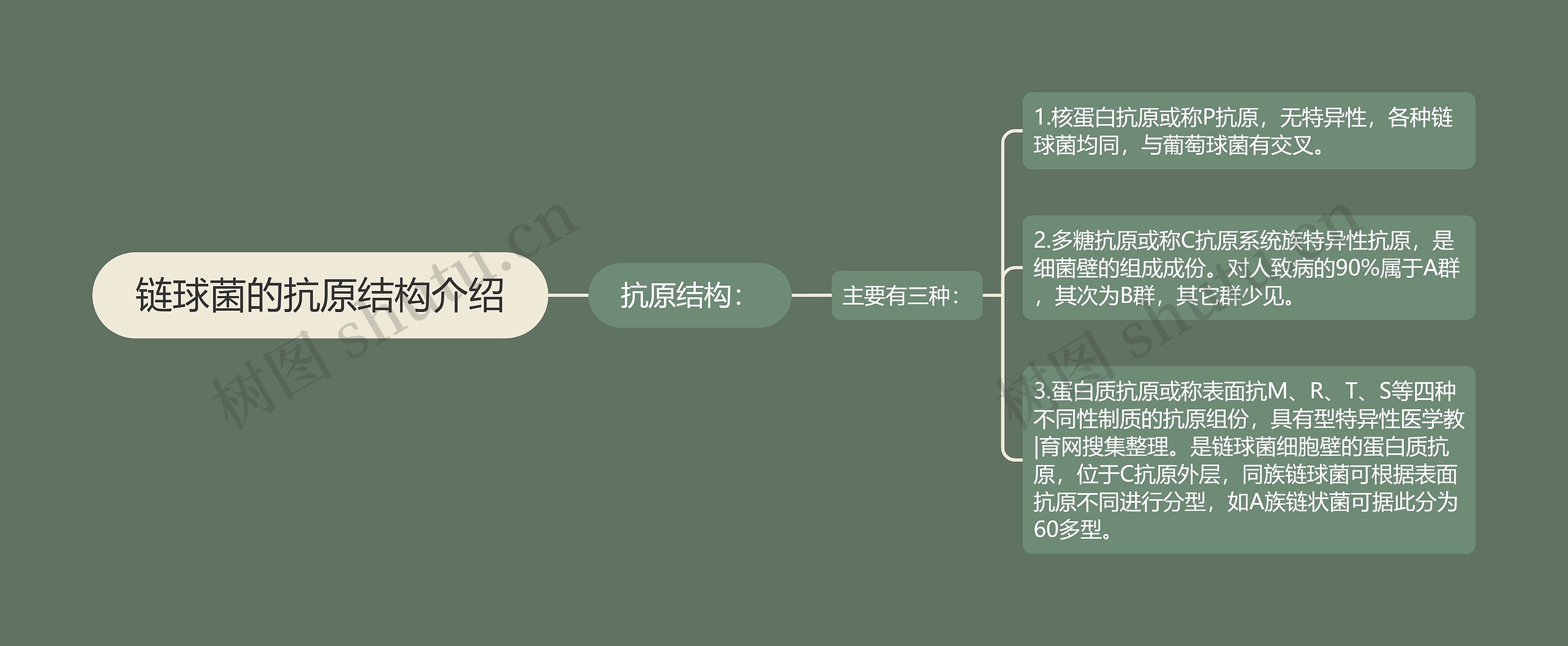 链球菌的抗原结构介绍
