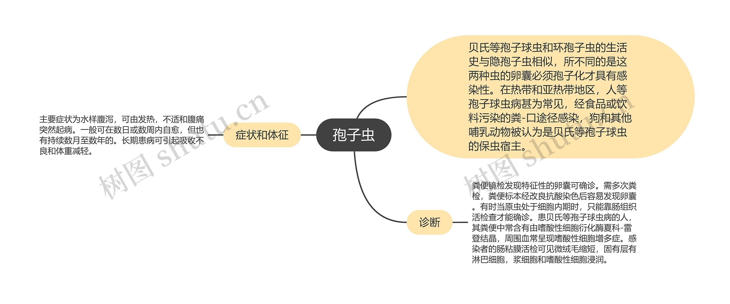 孢子虫思维导图