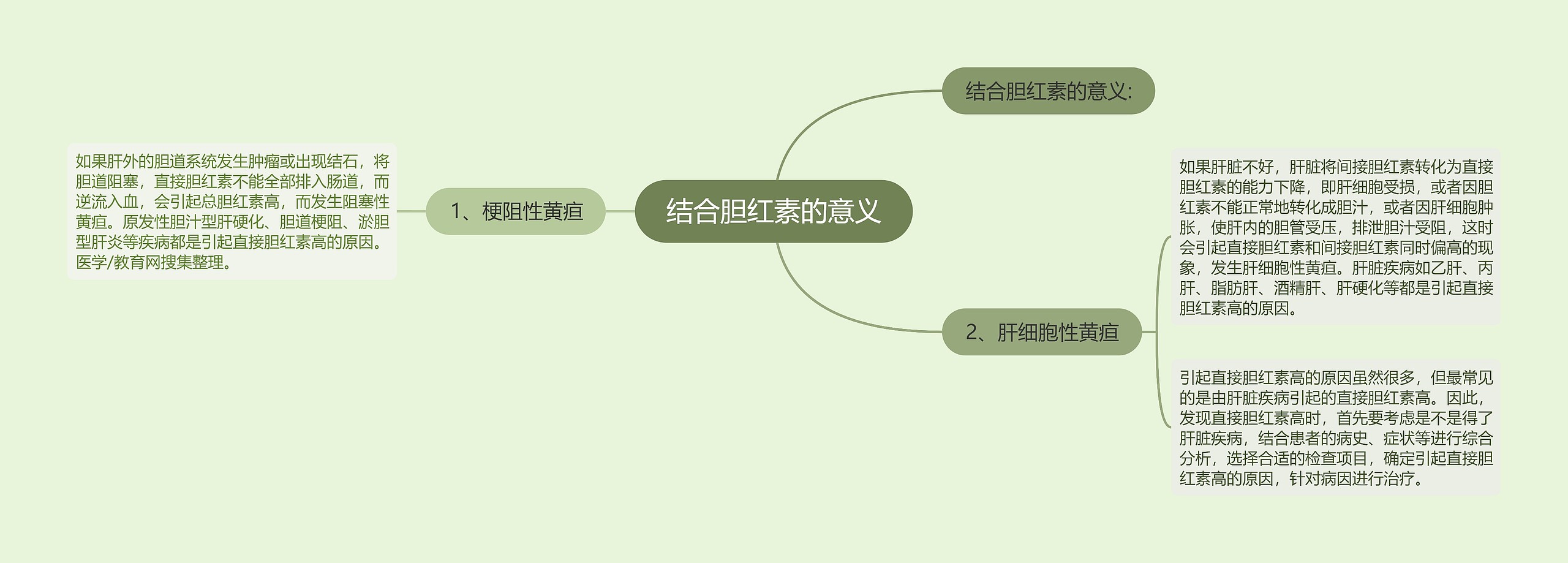 结合胆红素的意义思维导图