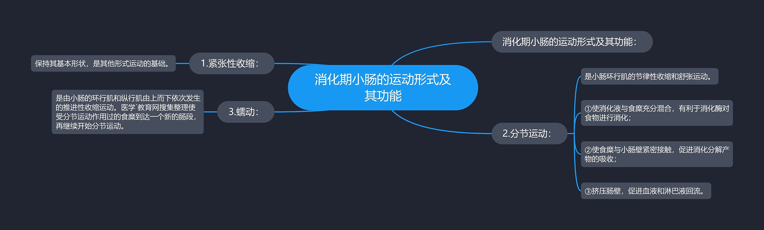 消化期小肠的运动形式及其功能思维导图