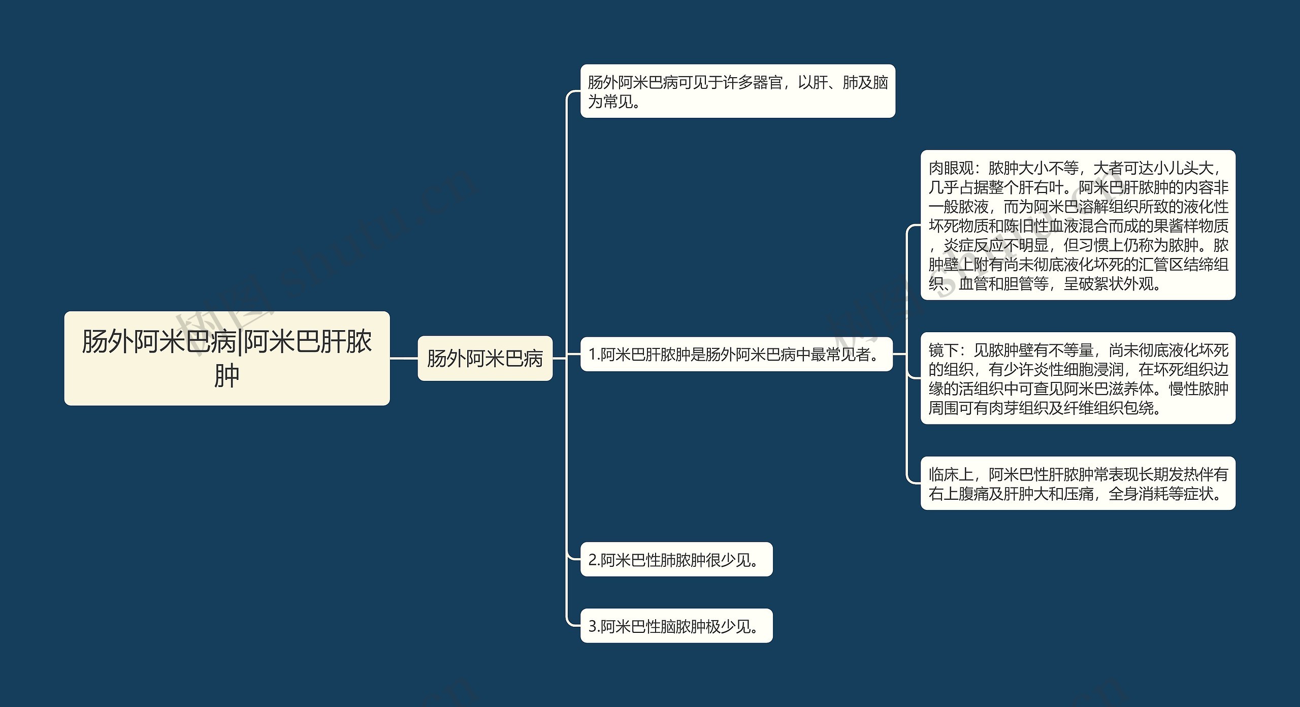 肠外阿米巴病|阿米巴肝脓肿