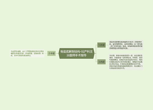 骨盆底解剖结构-妇产科主治医师手术指导