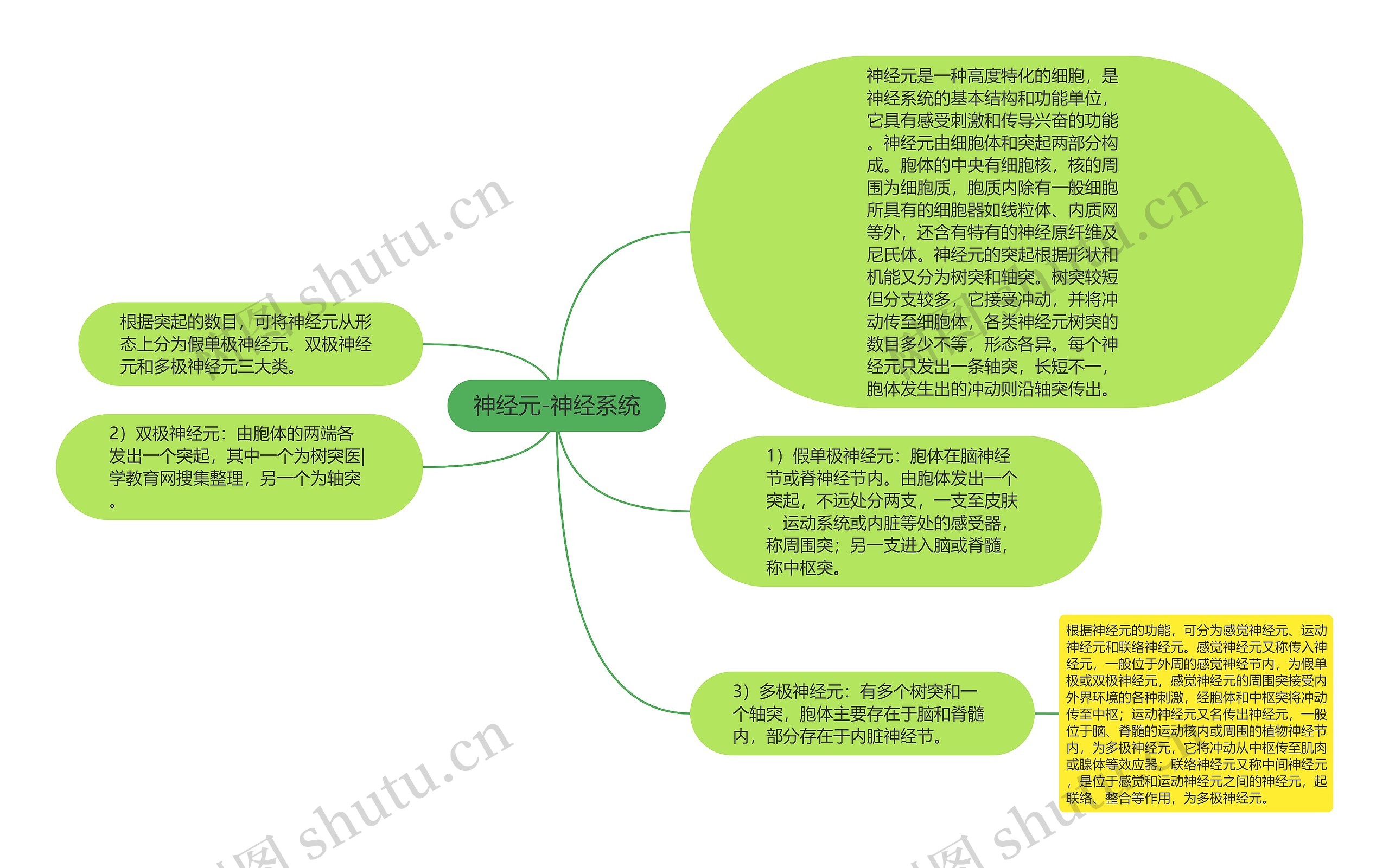 神经元-神经系统思维导图