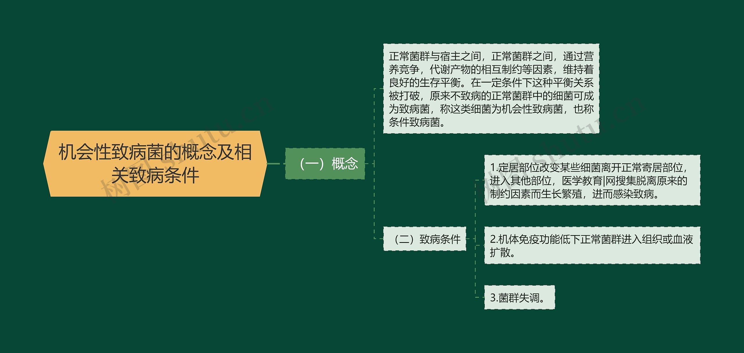 机会性致病菌的概念及相关致病条件思维导图