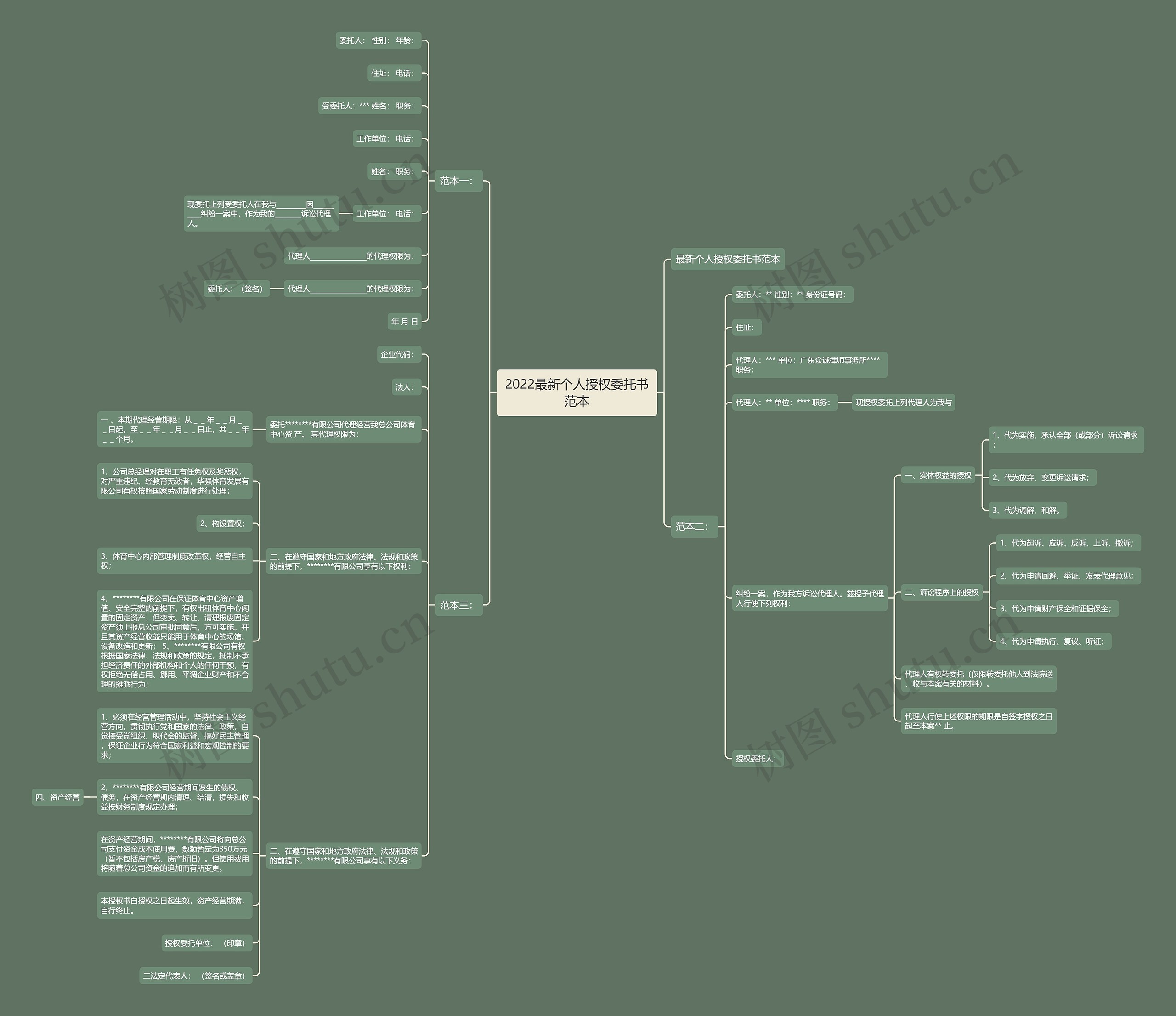 2022最新个人授权委托书范本思维导图