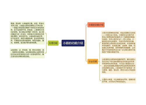 小肠的功能介绍