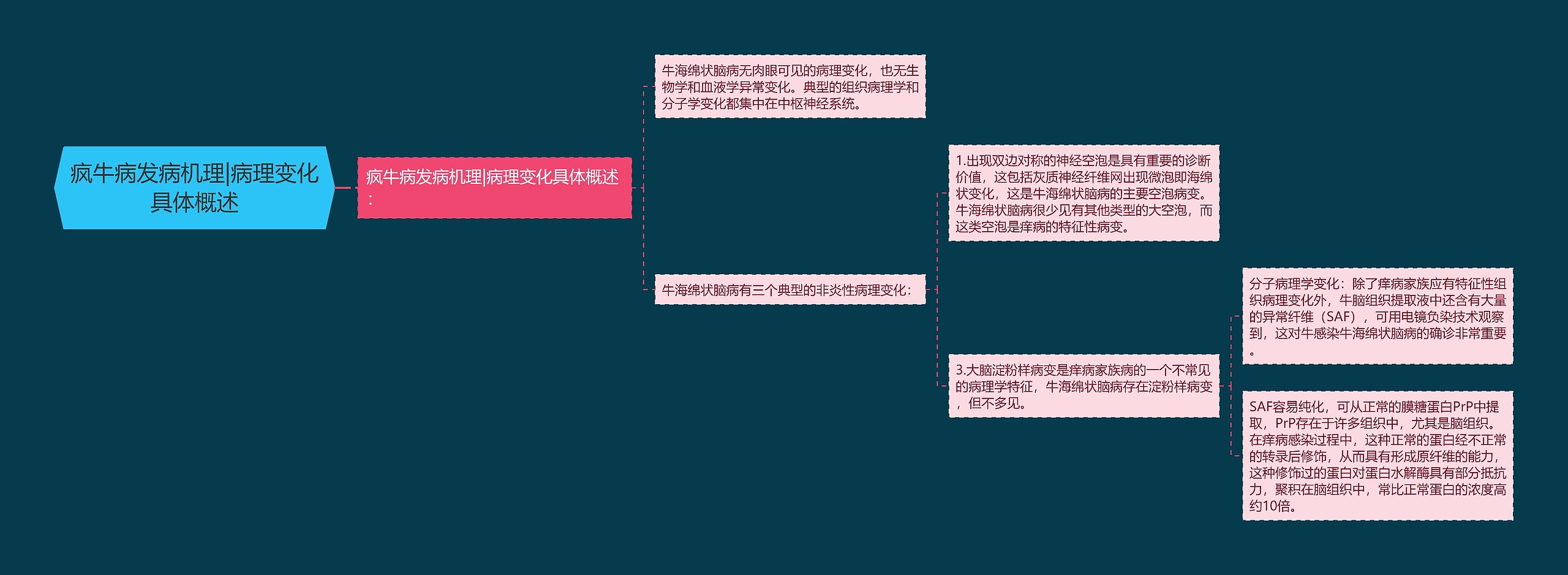 疯牛病发病机理|病理变化具体概述