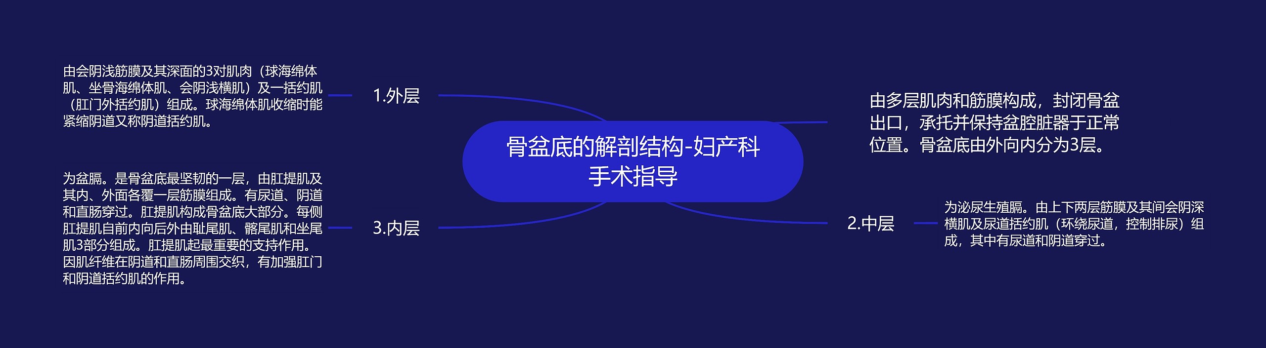 骨盆底的解剖结构-妇产科手术指导思维导图