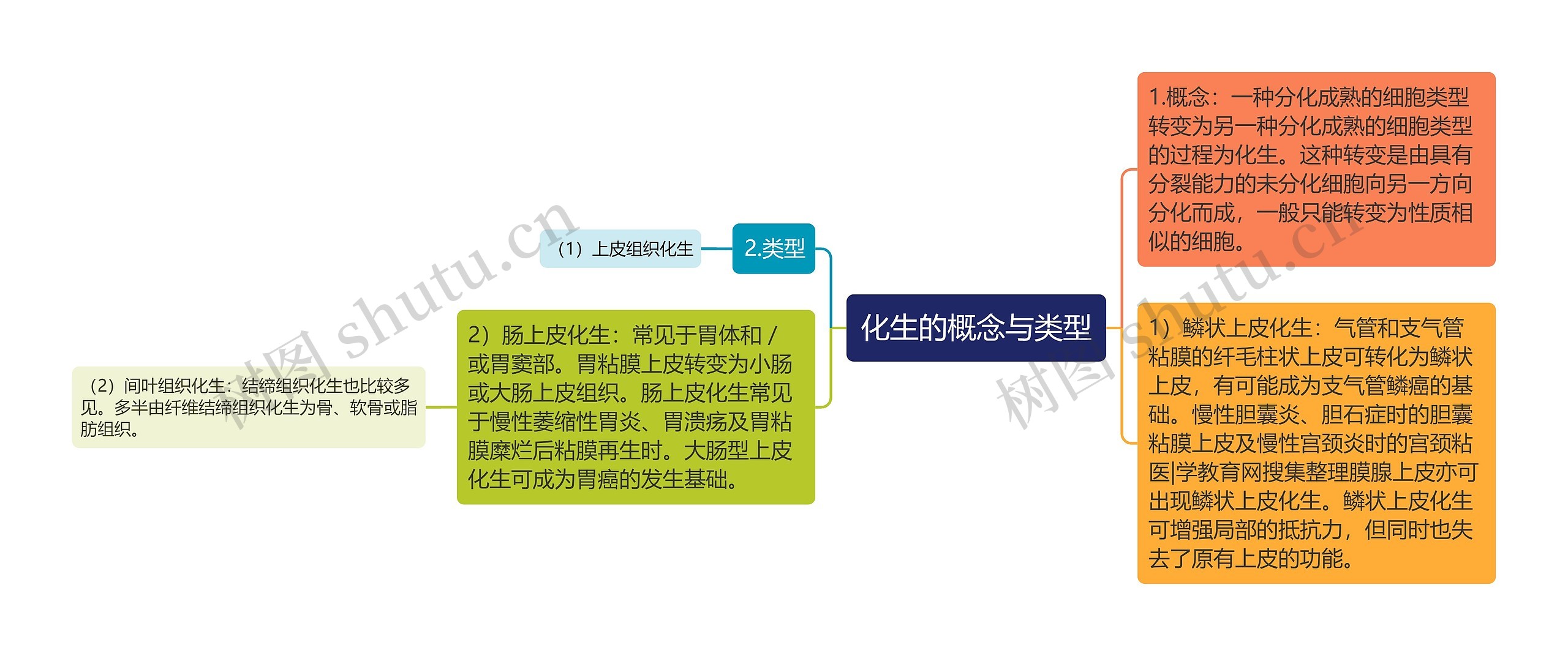 化生的概念与类型 化生的概念与类型