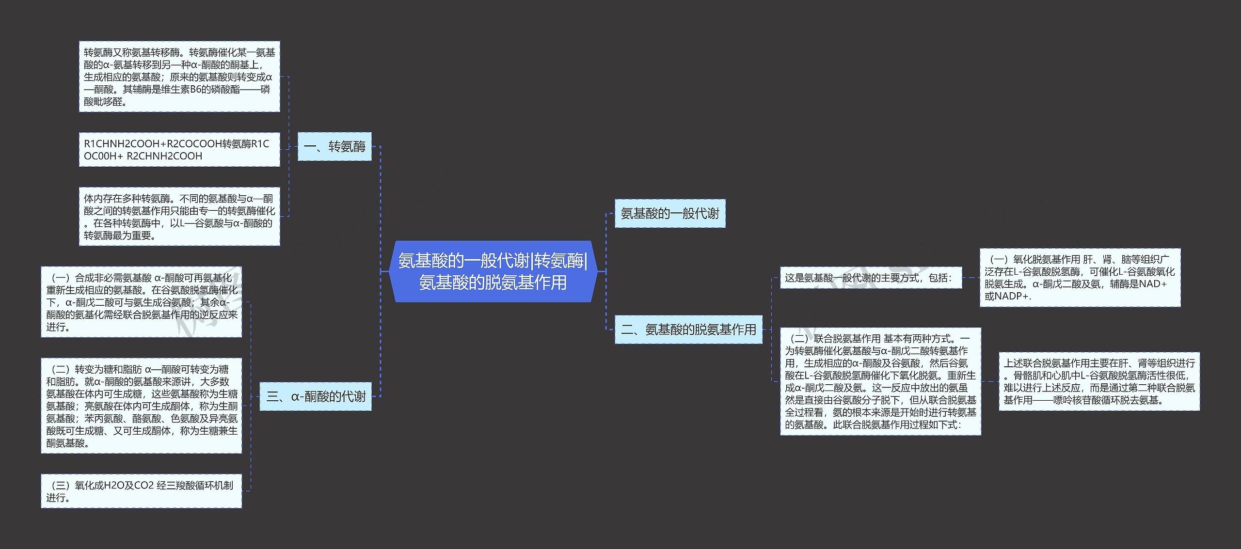 氨基酸的一般代谢|转氨酶|氨基酸的脱氨基作用思维导图