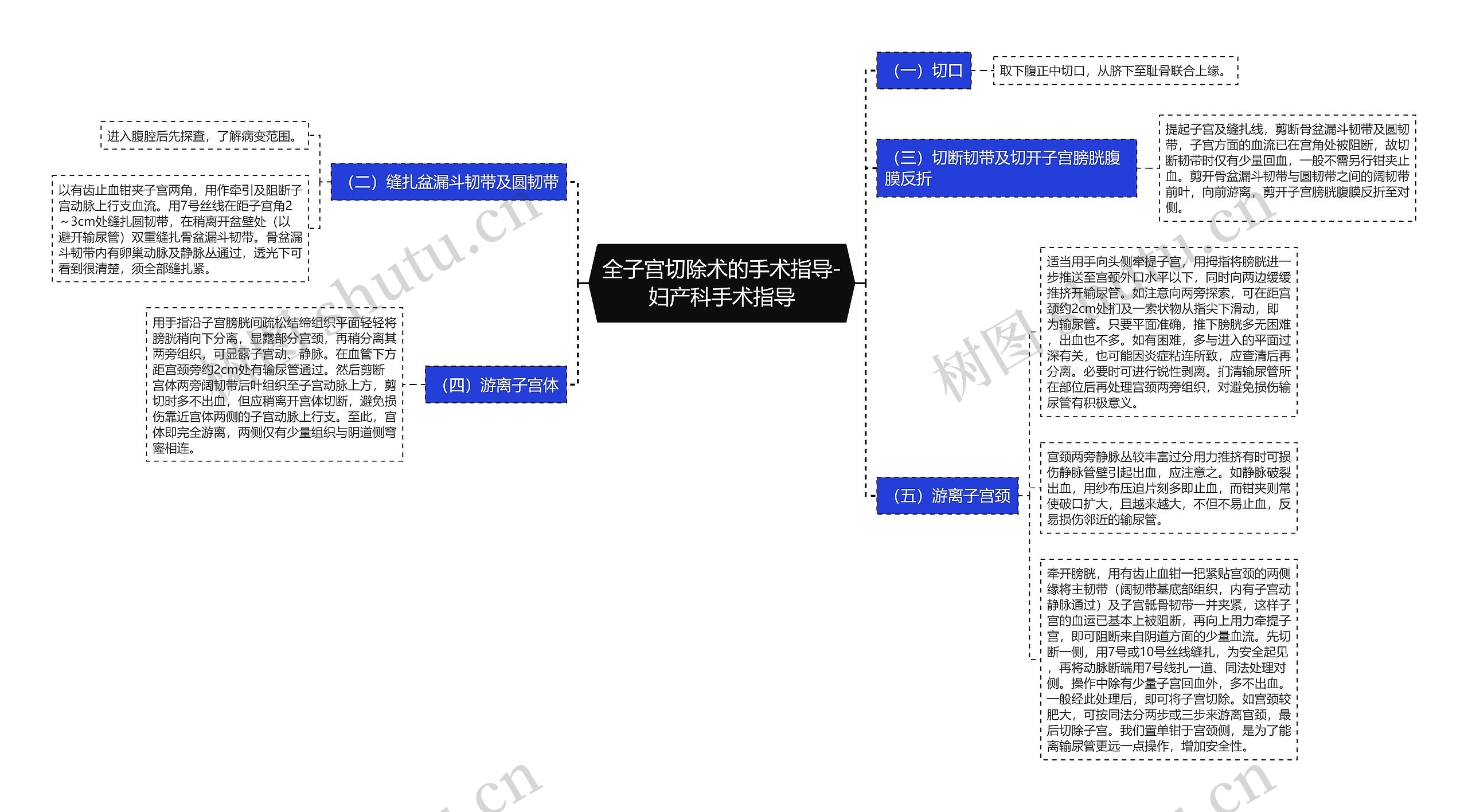 全子宫切除术的手术指导-妇产科手术指导 全子宫切除术的手术指导-妇产科手术指导