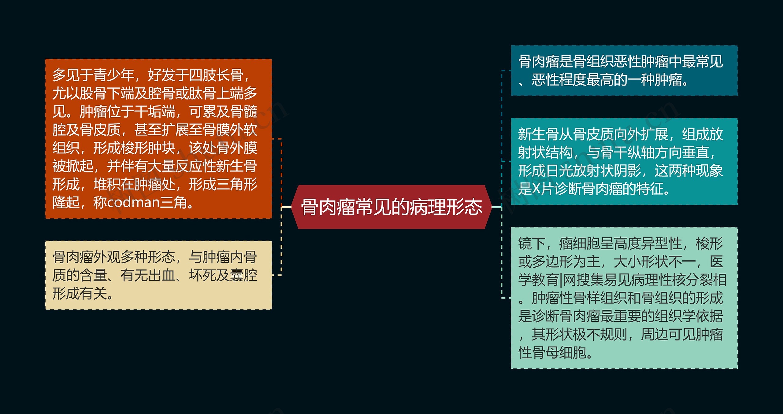 骨肉瘤常见的病理形态