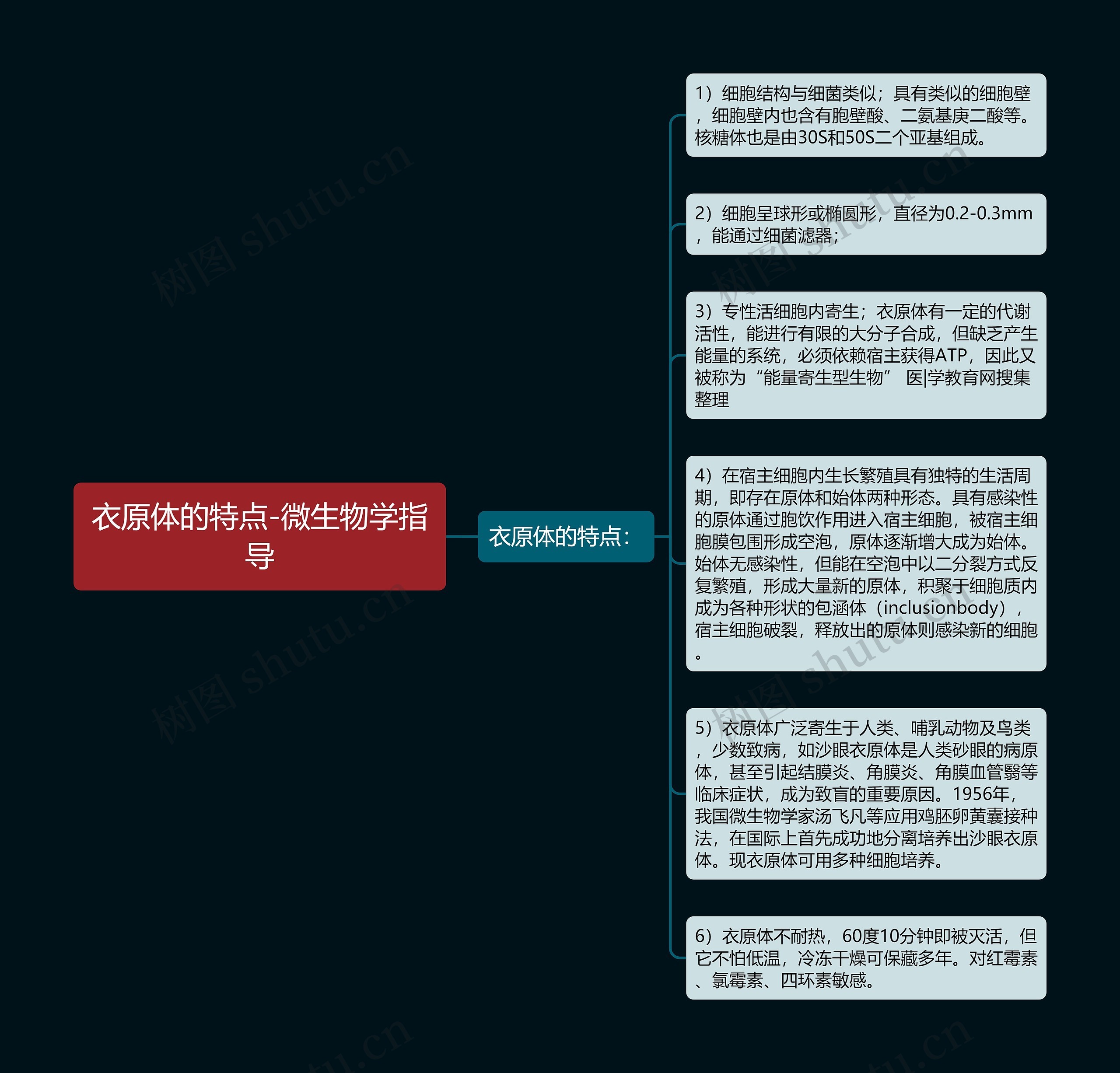 衣原体的特点-微生物学指导思维导图