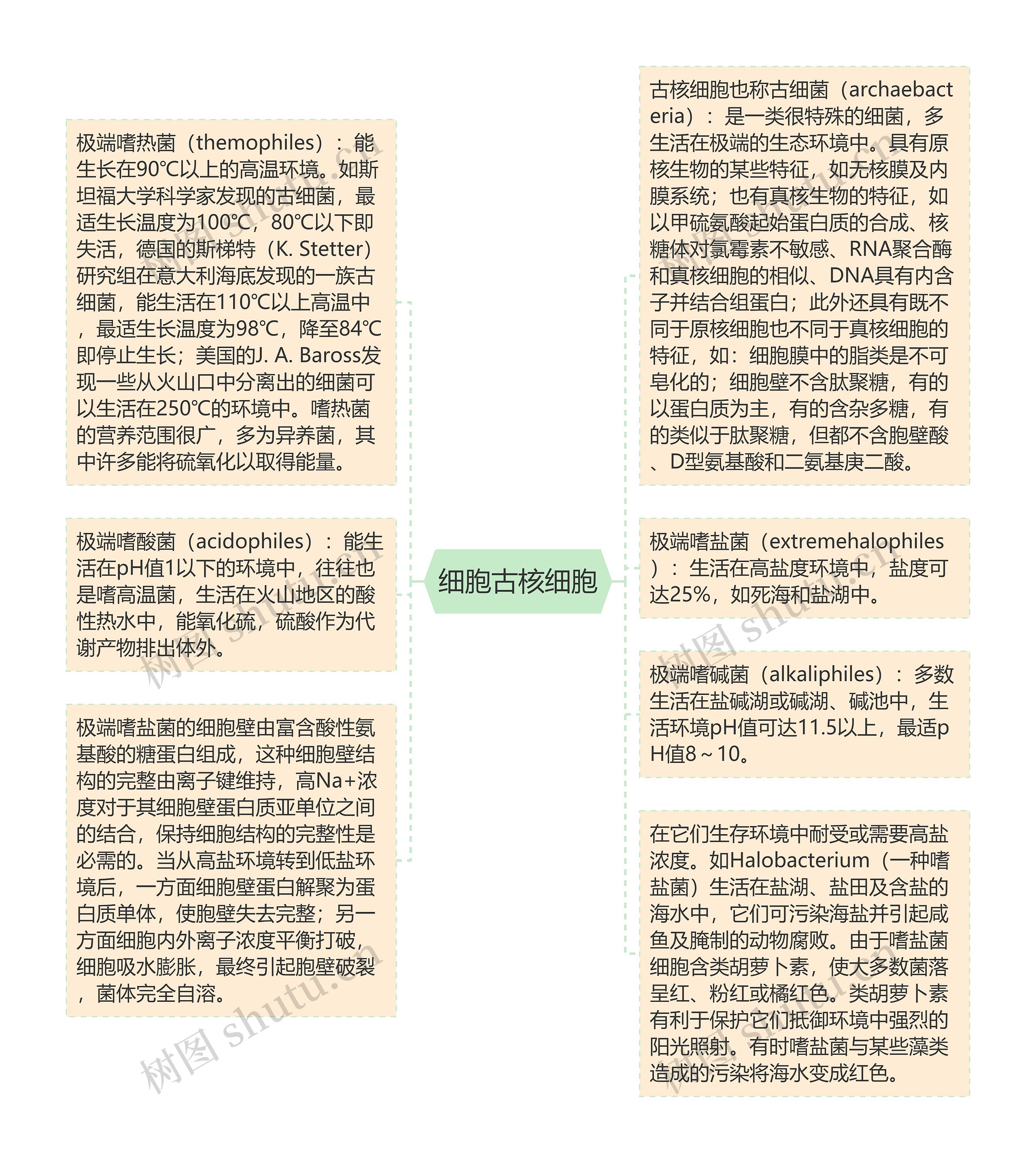 细胞古核细胞思维导图高清图 细胞古核细胞思维导图