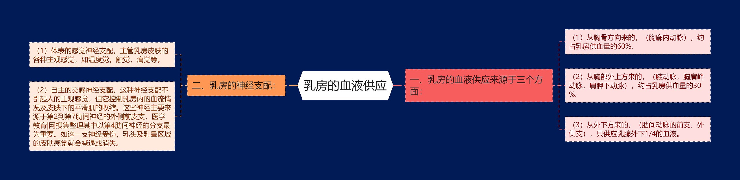 乳房的血液供应 乳房的血液供应