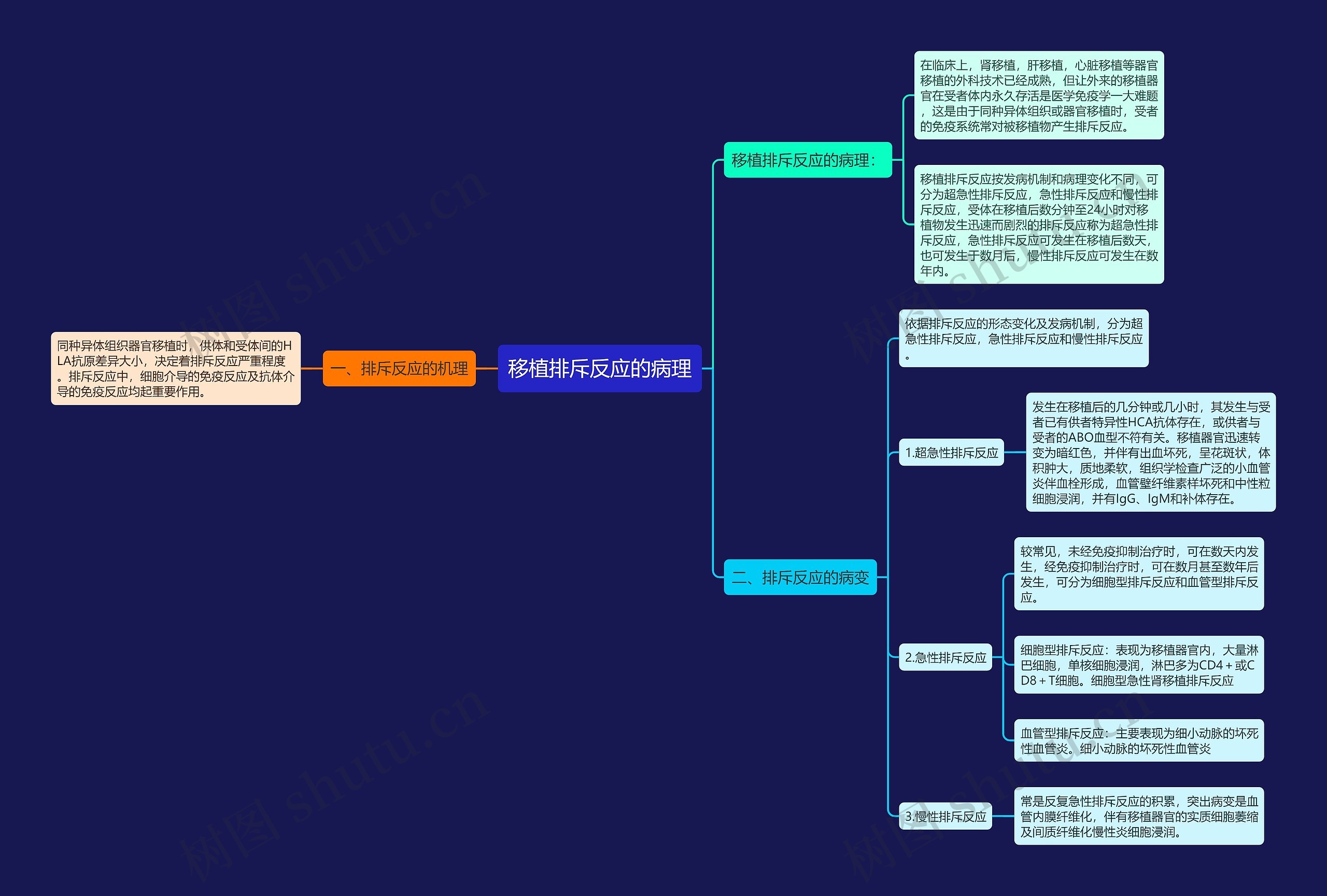 移植排斥反应的病理思维导图