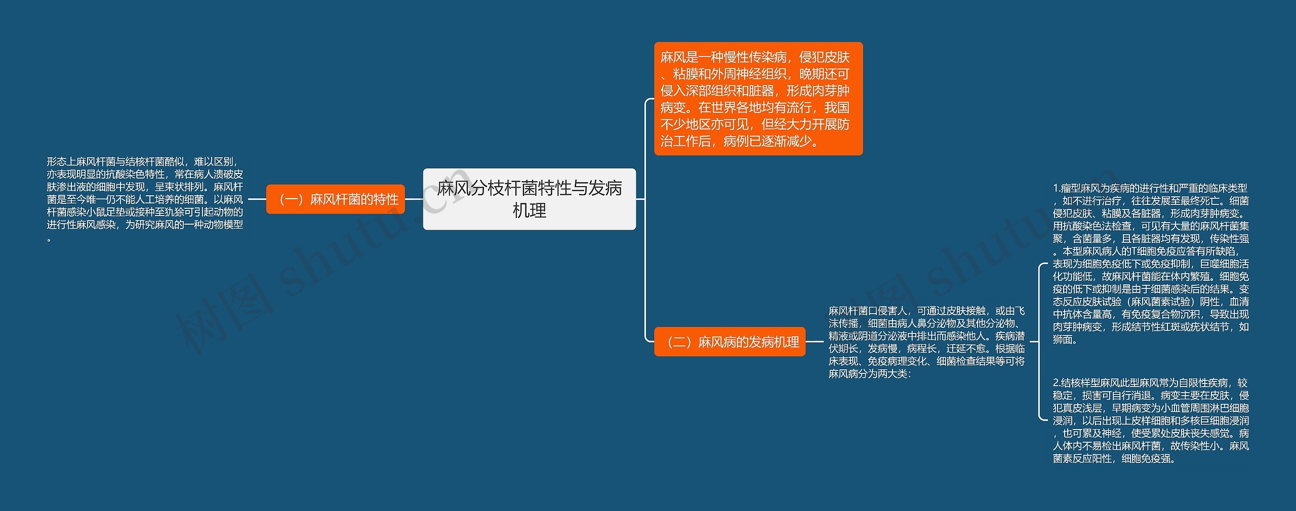 麻风分枝杆菌特性与发病机理思维导图