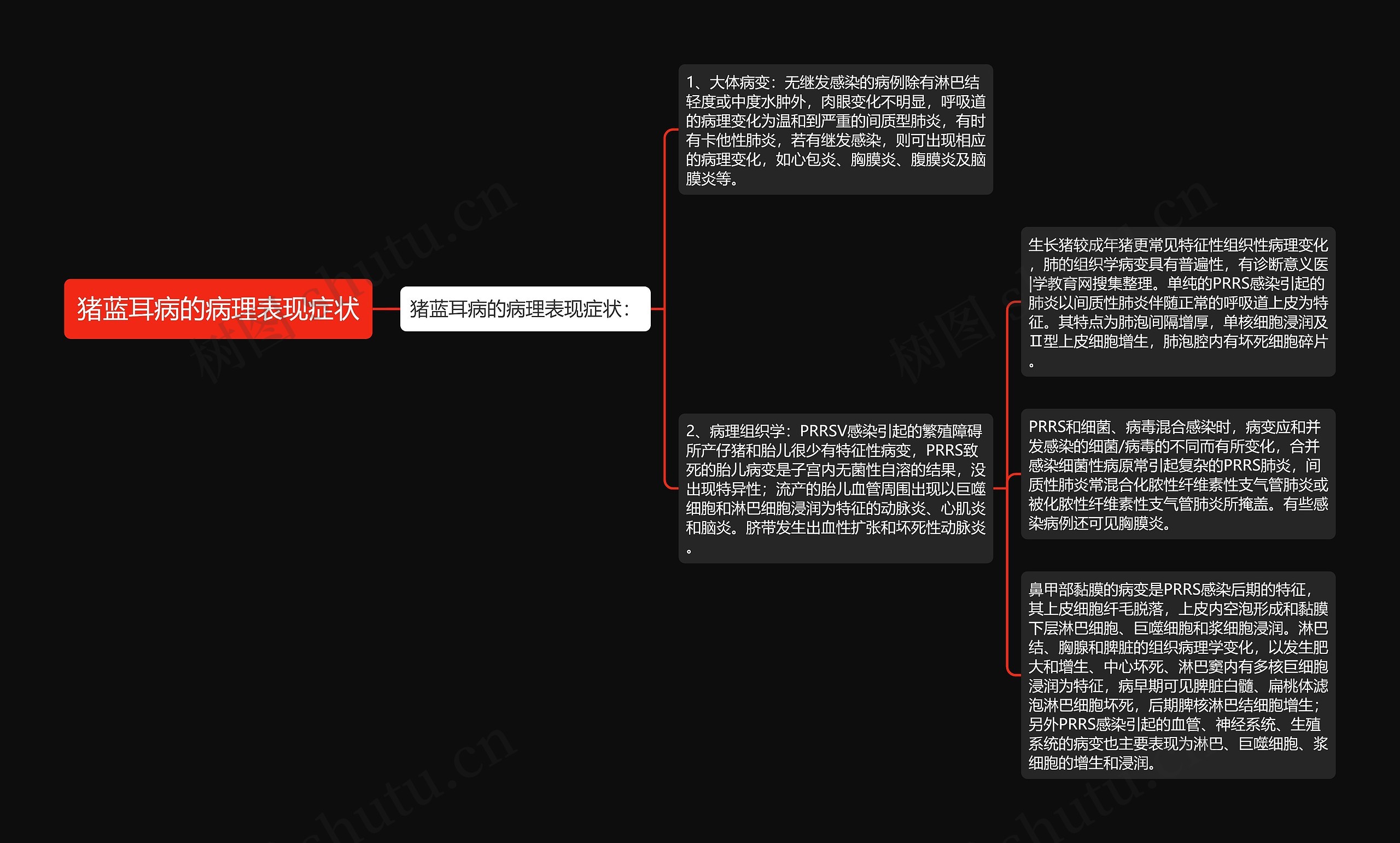 猪蓝耳病的病理表现症状思维导图