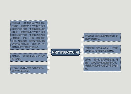 肺通气的原动力介绍