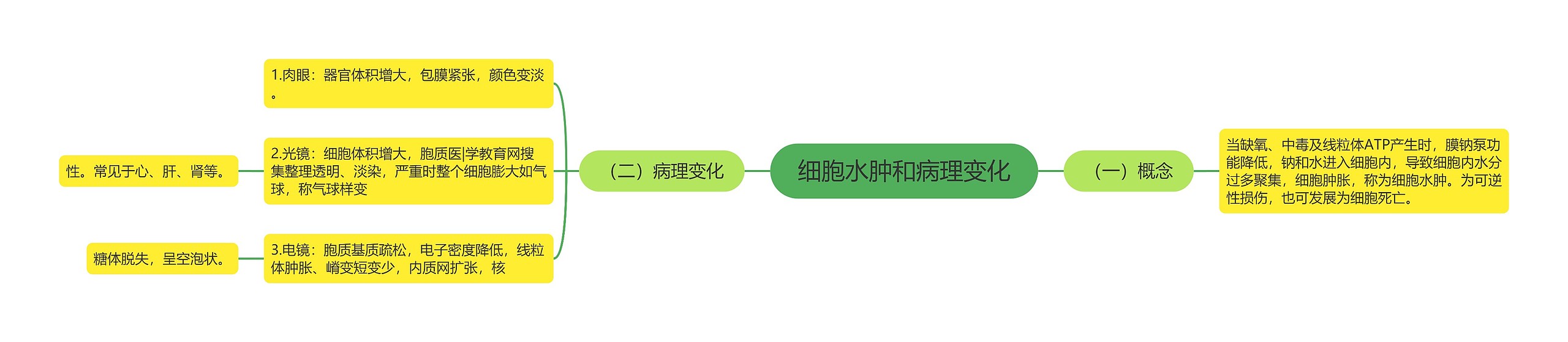 细胞水肿和病理变化