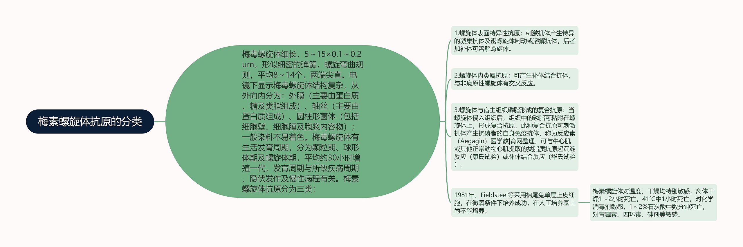 梅素螺旋体抗原的分类思维导图