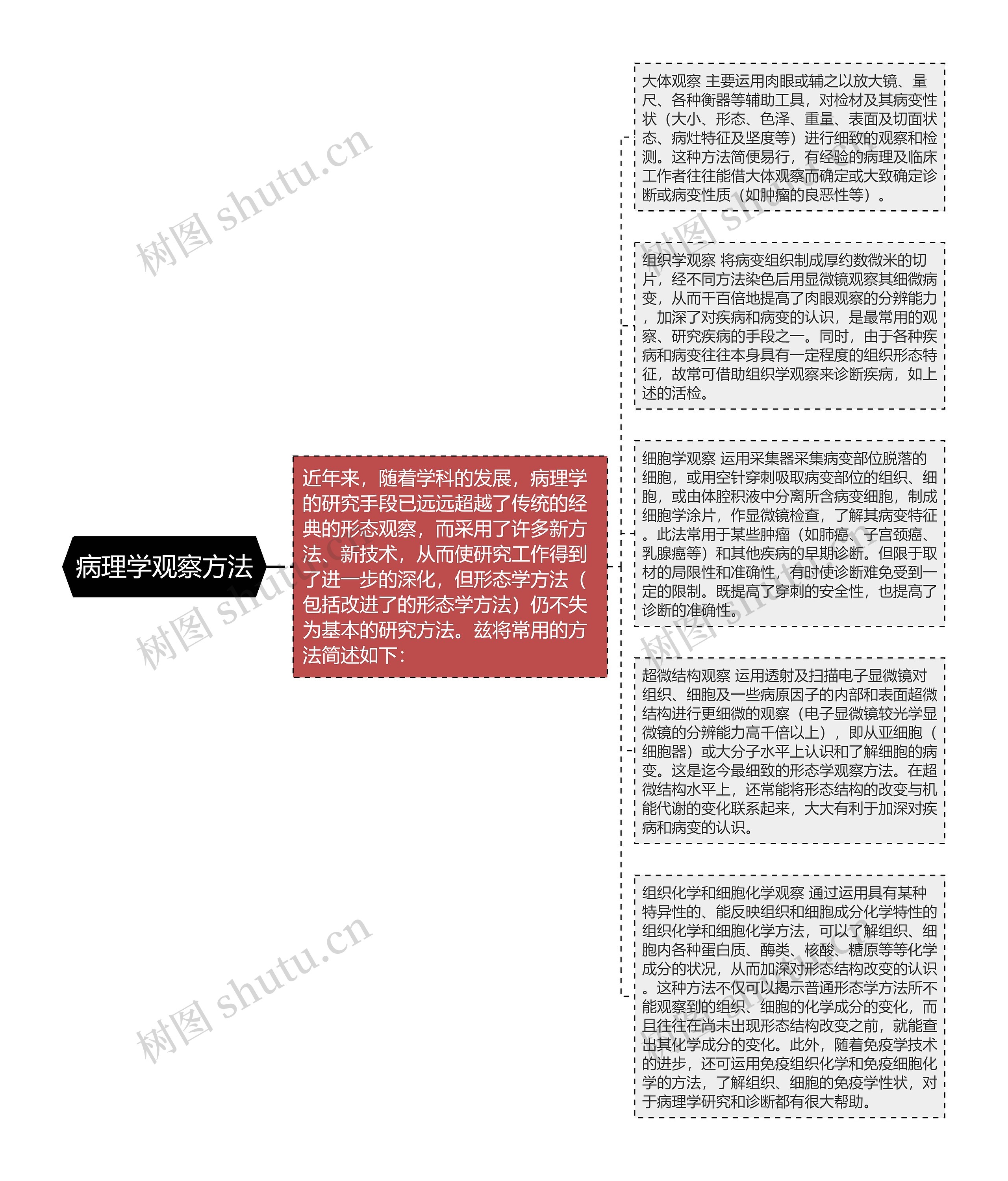 病理学观察方法