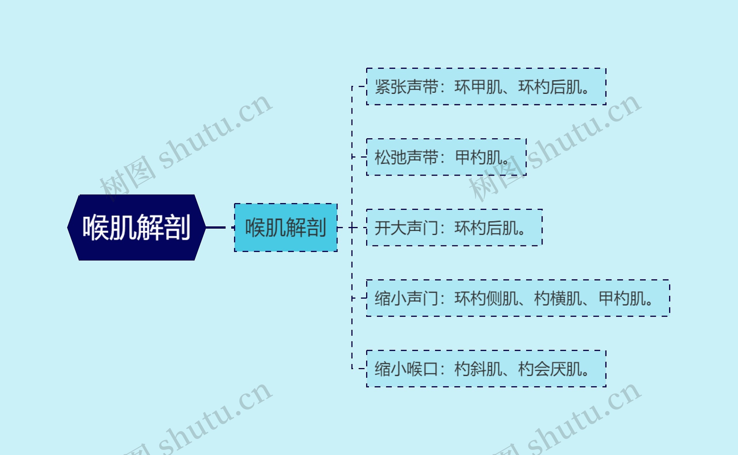 喉肌解剖思维导图