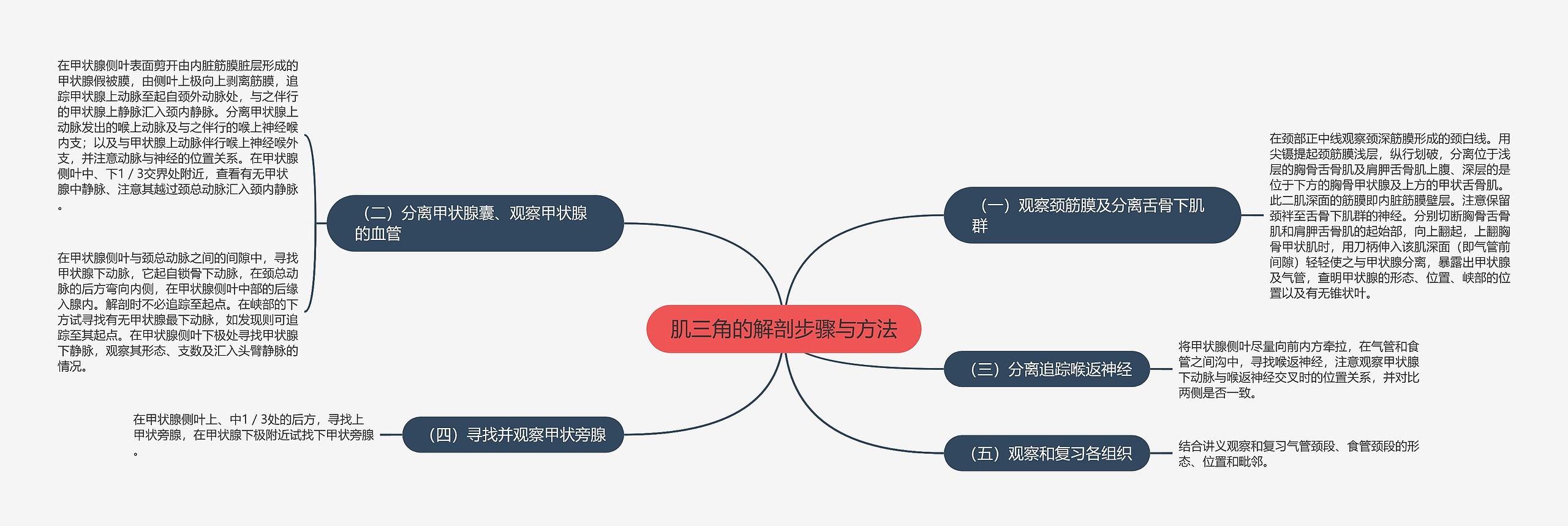 肌三角的解剖步骤与方法 肌三角的解剖步骤与方法