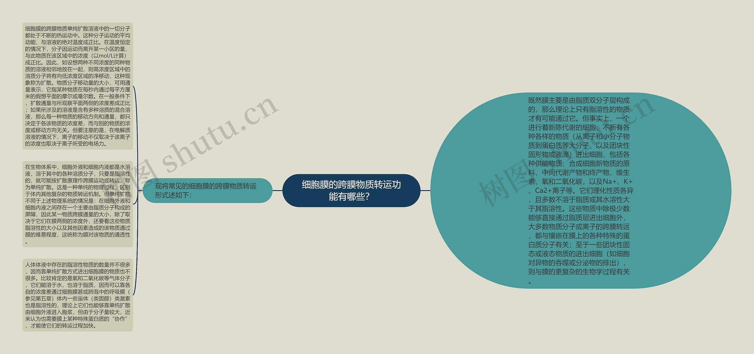 细胞膜的跨膜物质转运功能有哪些？思维导图