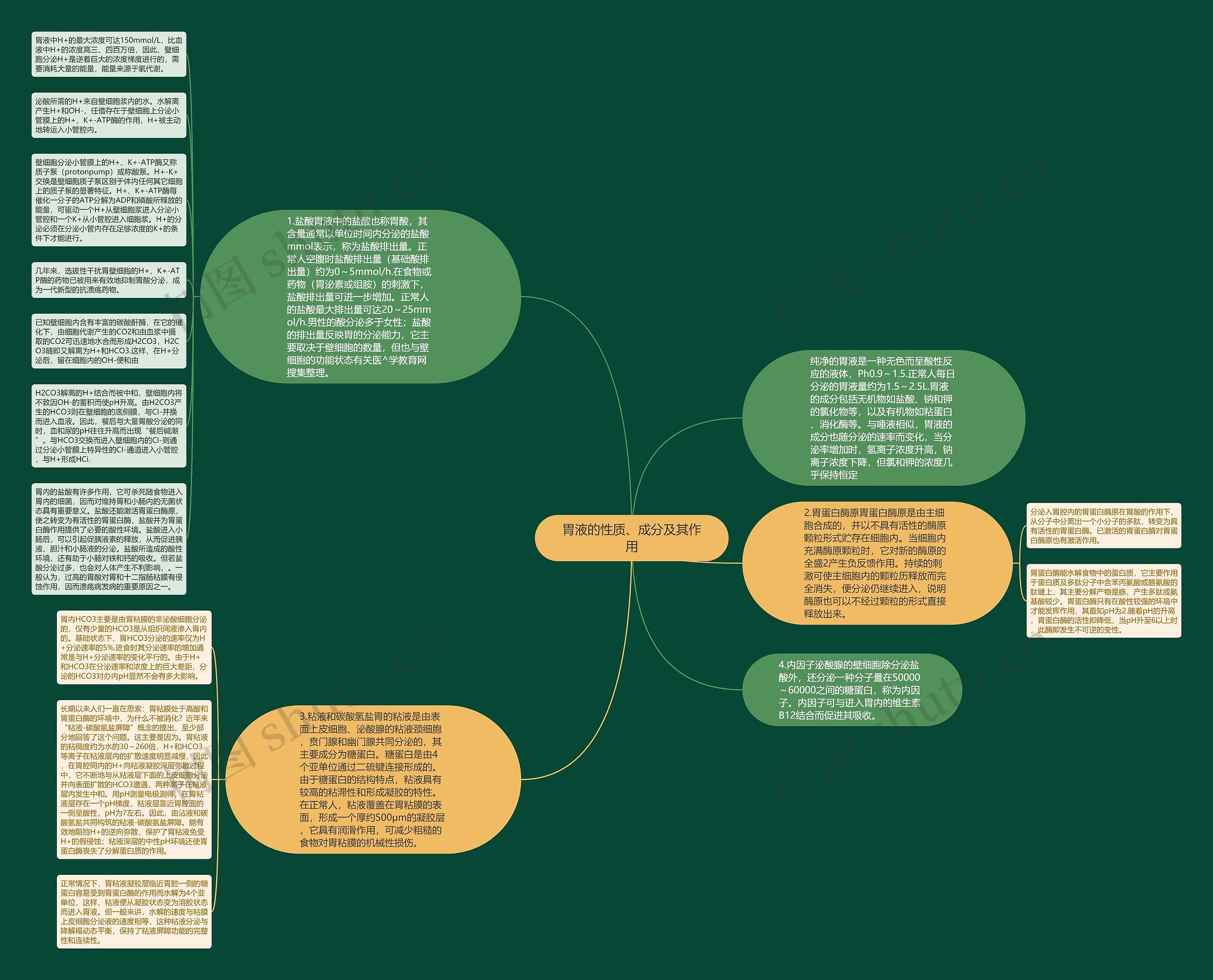 胃液的性质、成分及其作用思维导图
