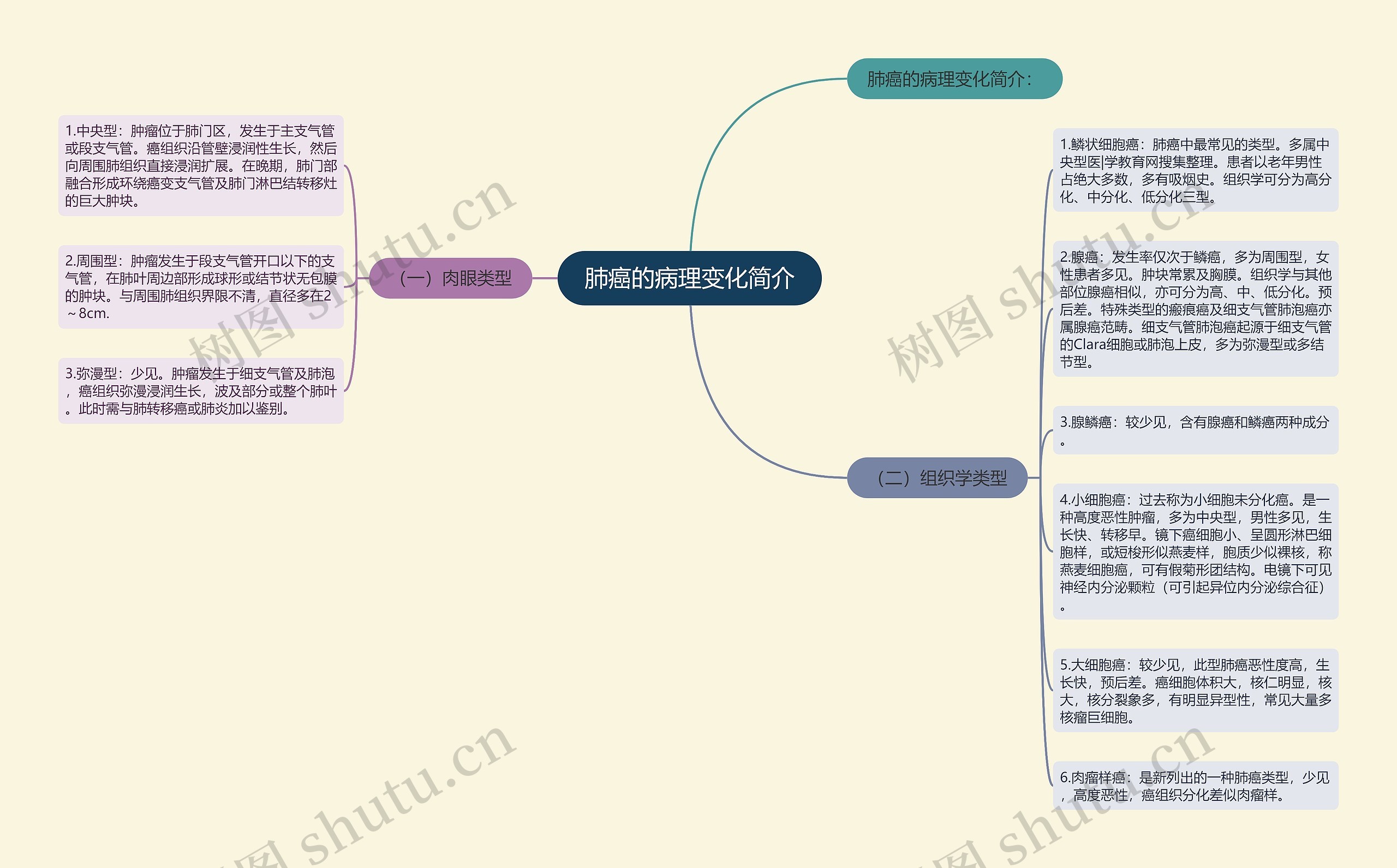 肺癌的病理变化简介