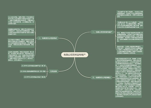 有限公司怎样宣布破产