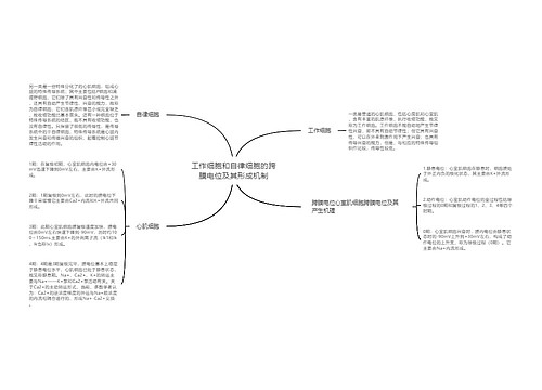 工作细胞和自律细胞的跨膜电位及其形成机制