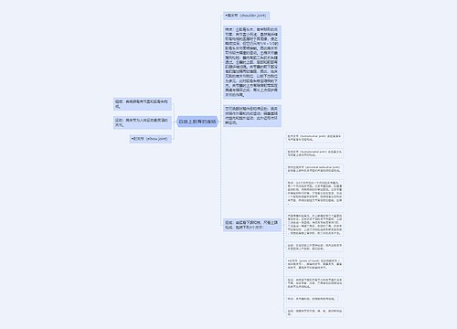 自由上肢骨的连结