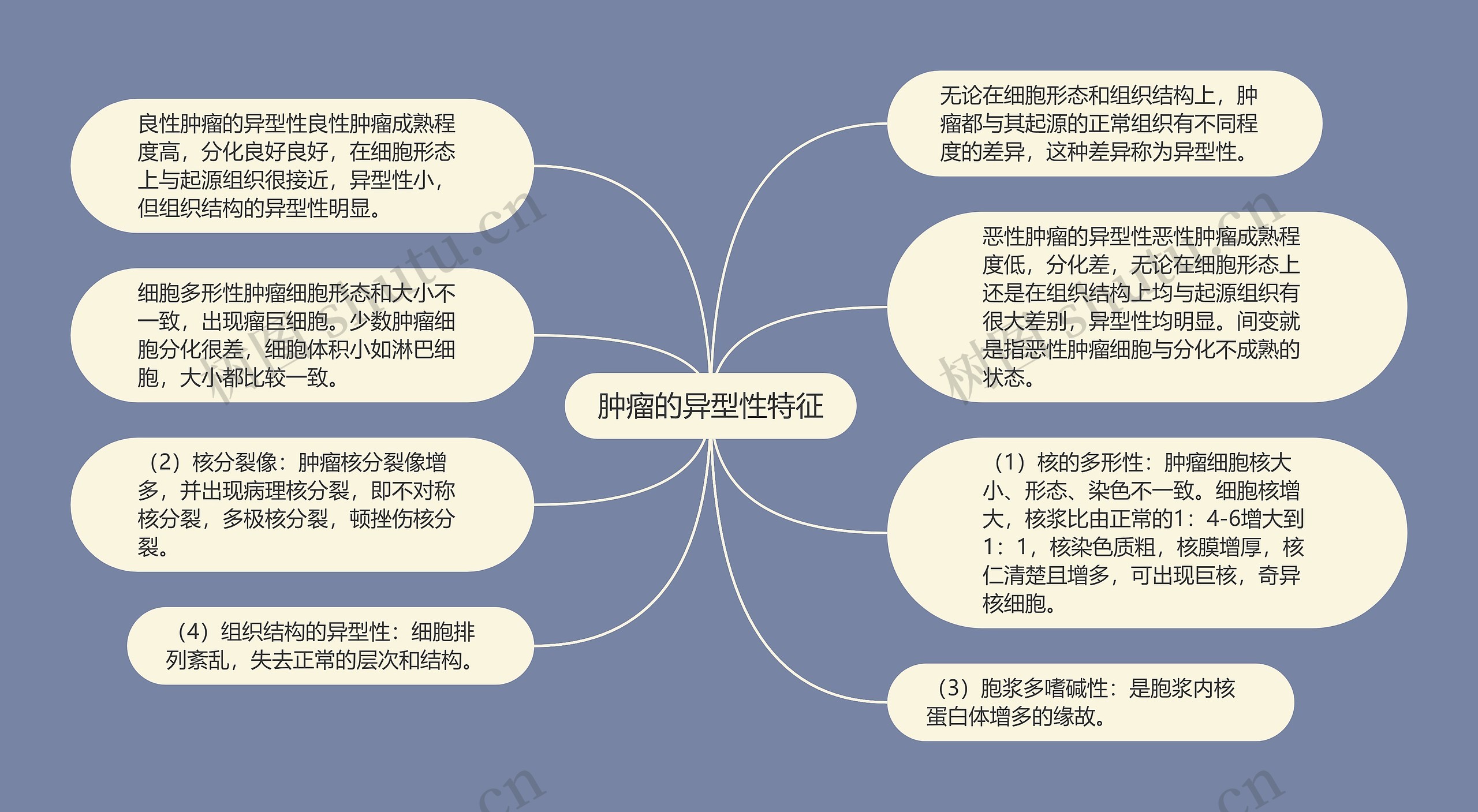 肿瘤的异型性特征