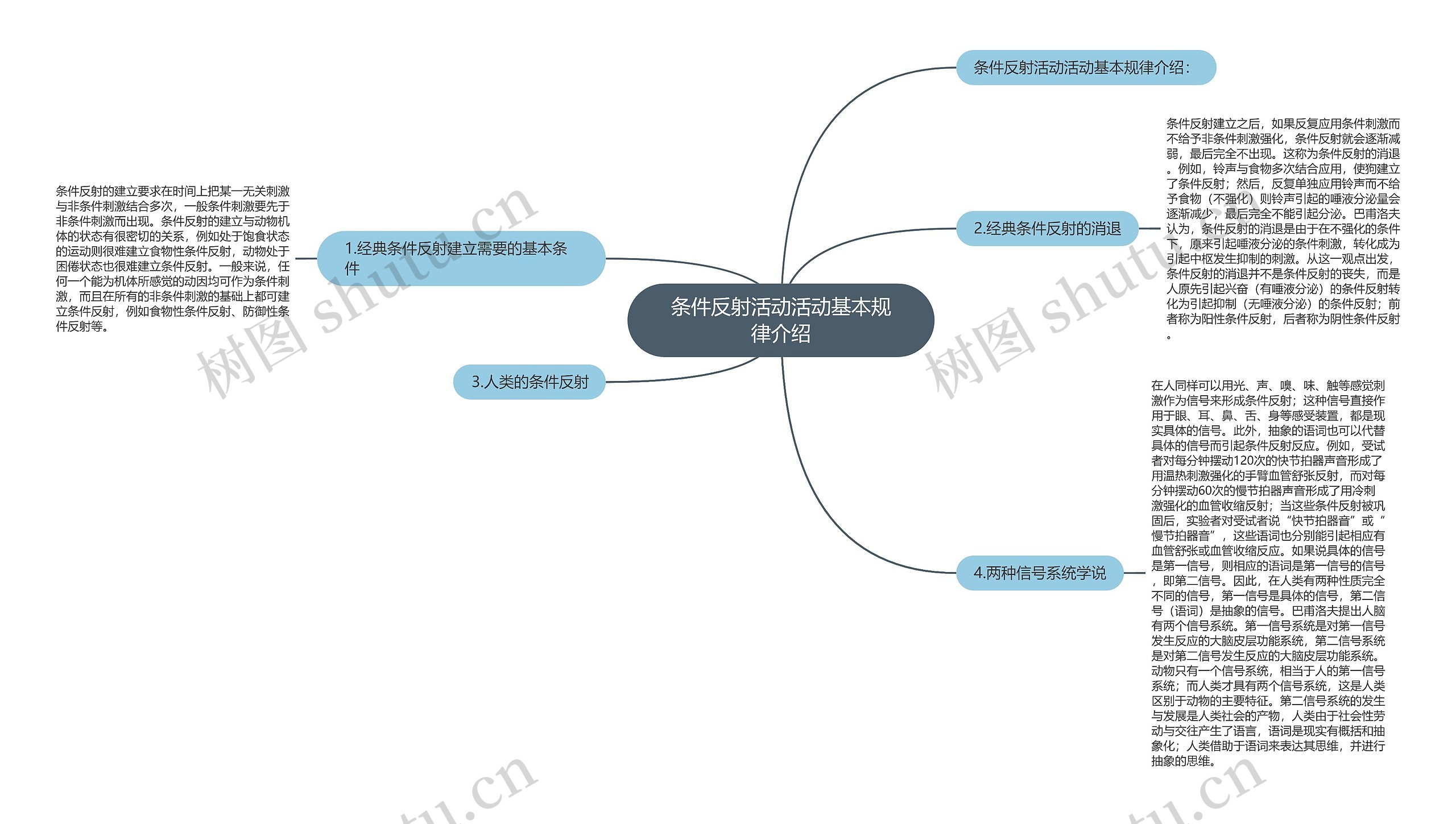 条件反射活动活动基本规律介绍思维导图