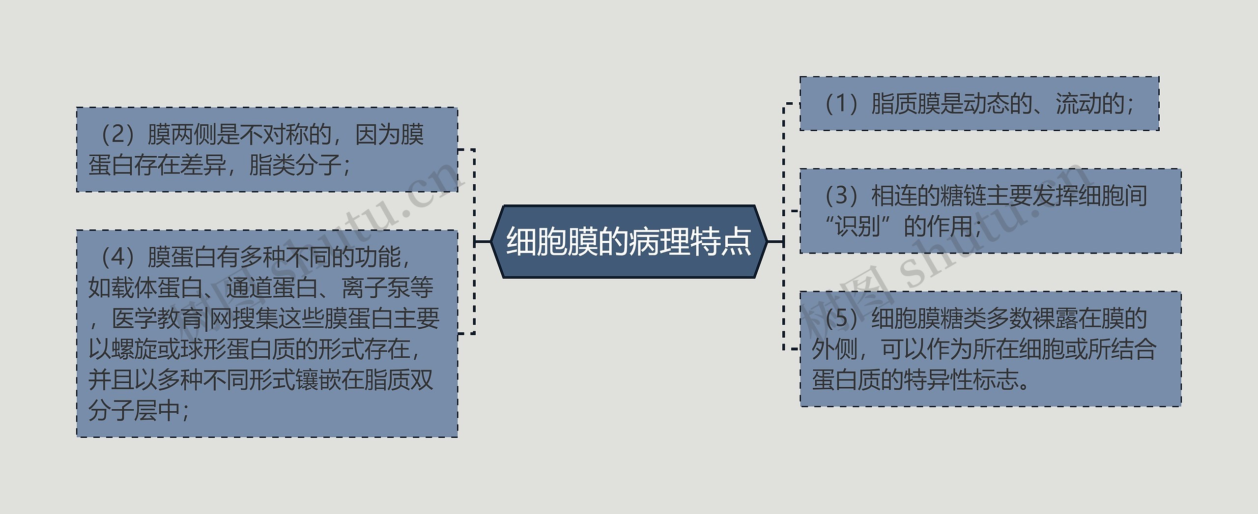 细胞膜的病理特点思维导图