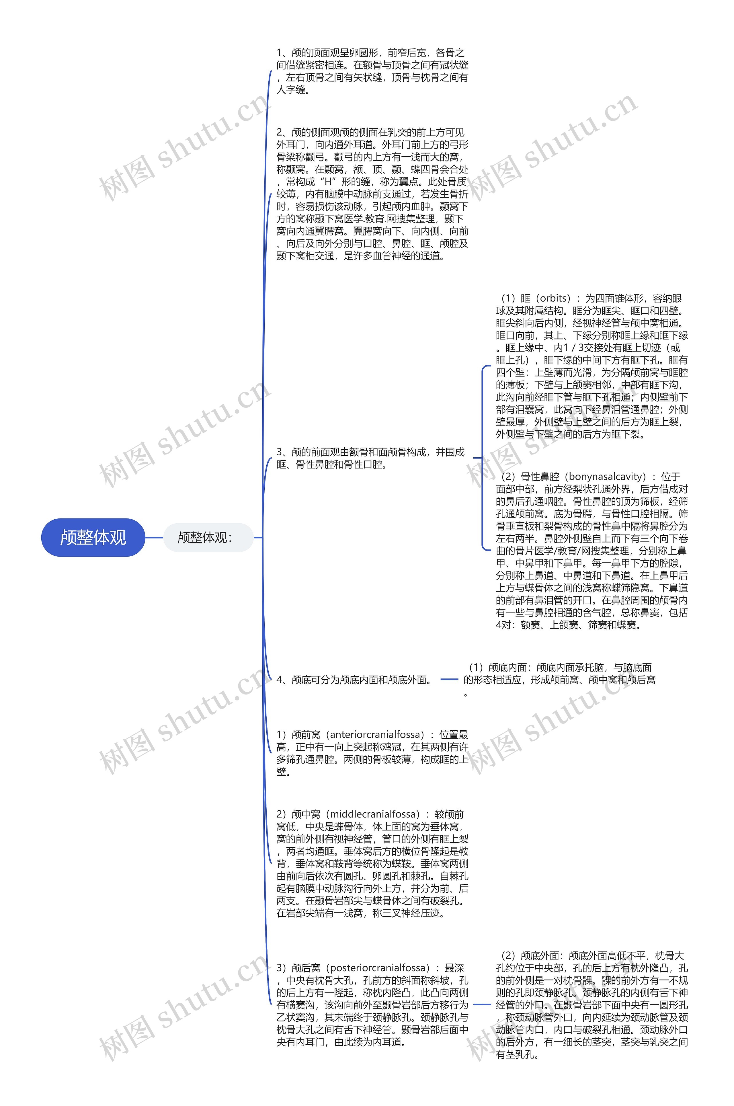 颅整体观思维导图