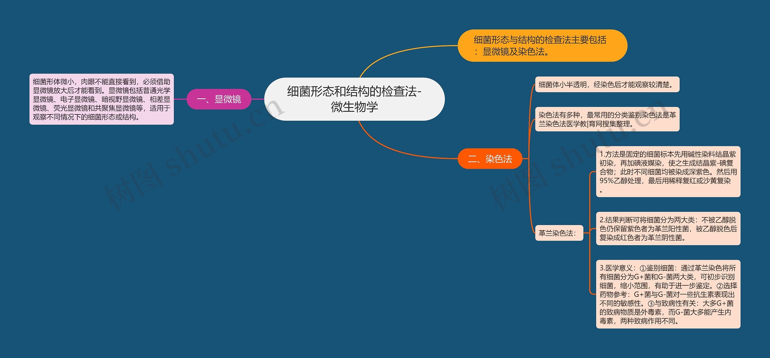 细菌形态和结构的检查法