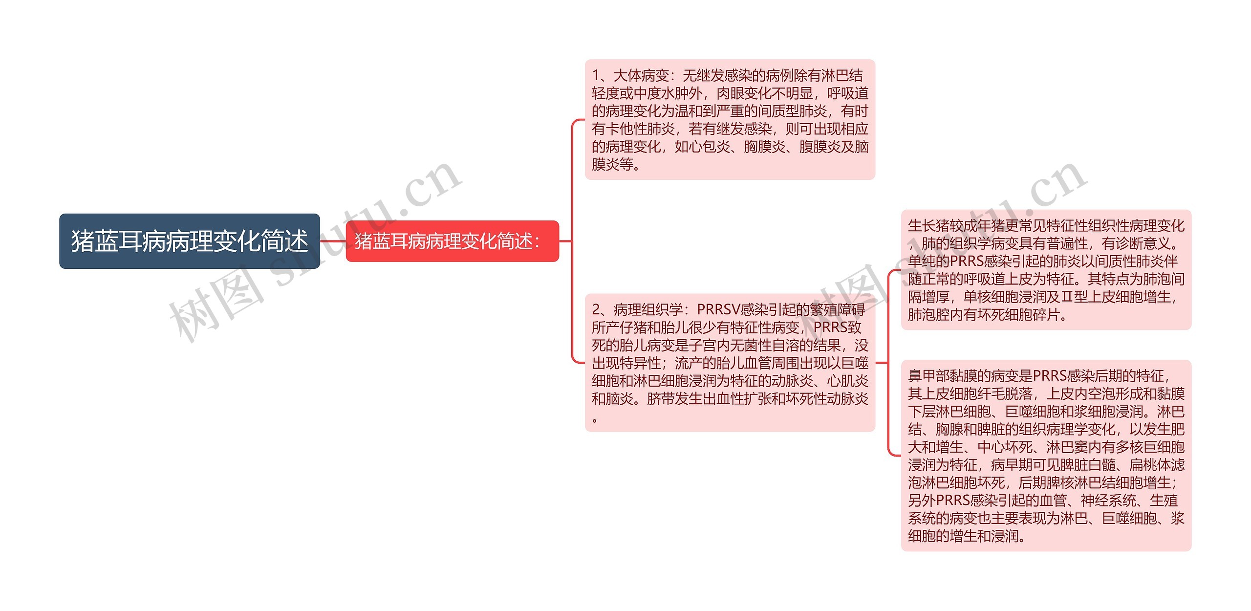 猪蓝耳病病理变化简述思维导图