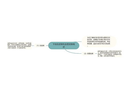 下肢肌腔隙和血管腔隙概述