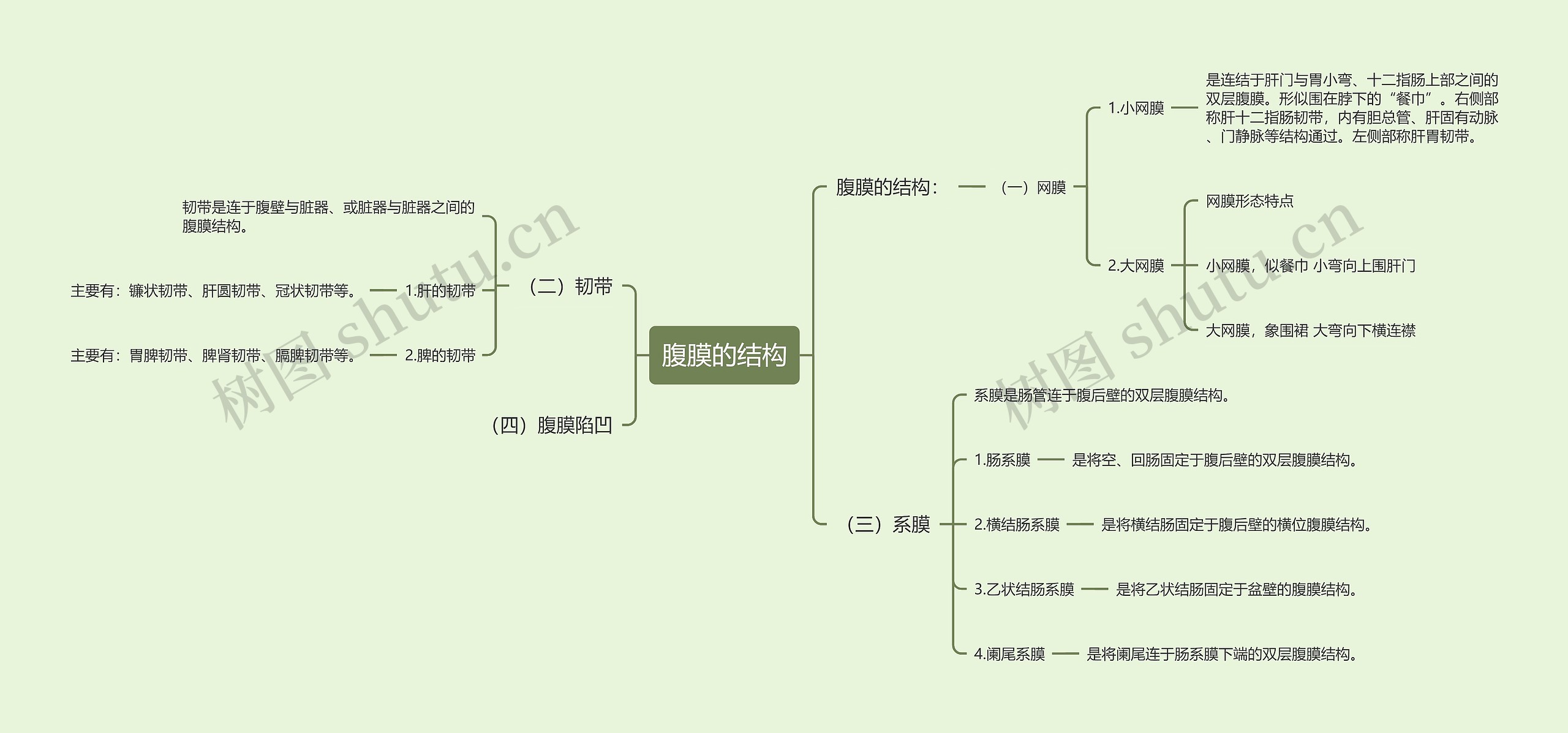 腹膜的结构思维导图