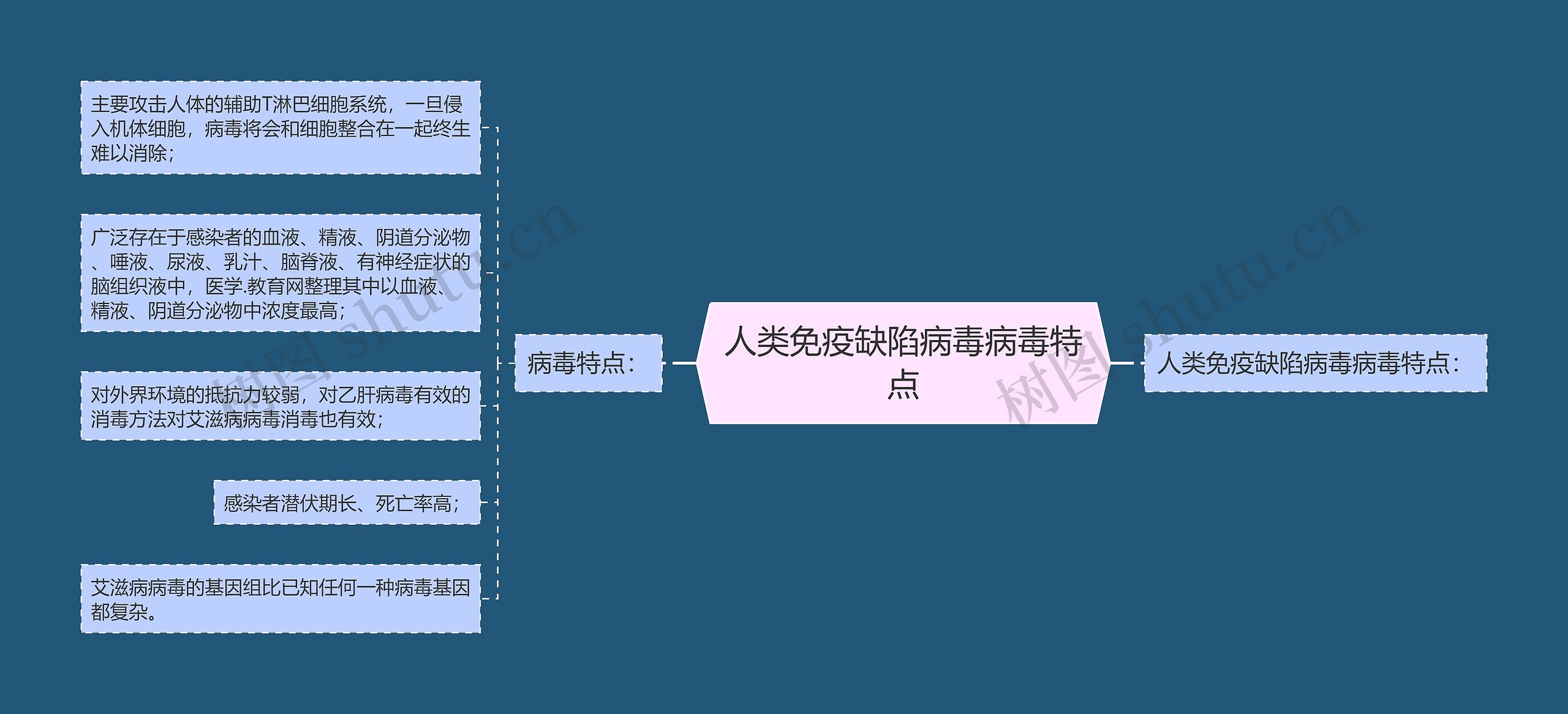 人类免疫缺陷病毒病毒特点思维导图