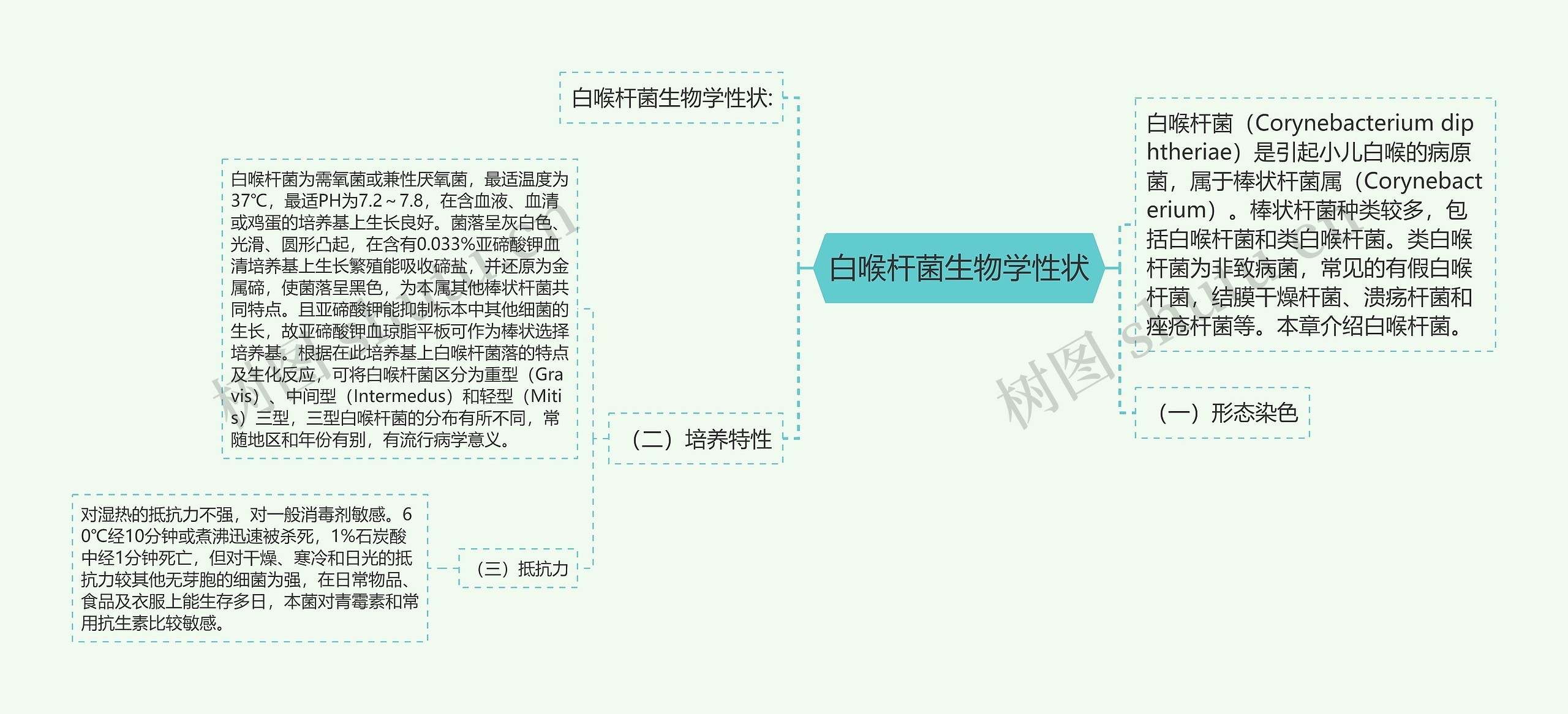 白喉杆菌生物学性状思维导图