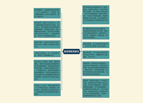 胸部横断面解剖