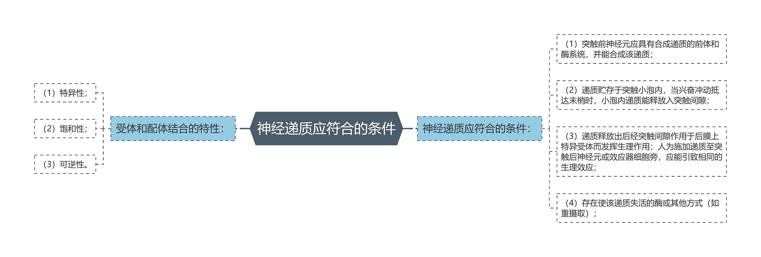 神经递质应符合的条件 神经递质应符合的条件