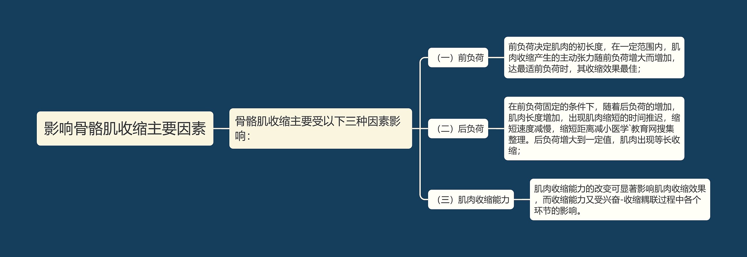 影响骨骼肌收缩主要因素思维导图