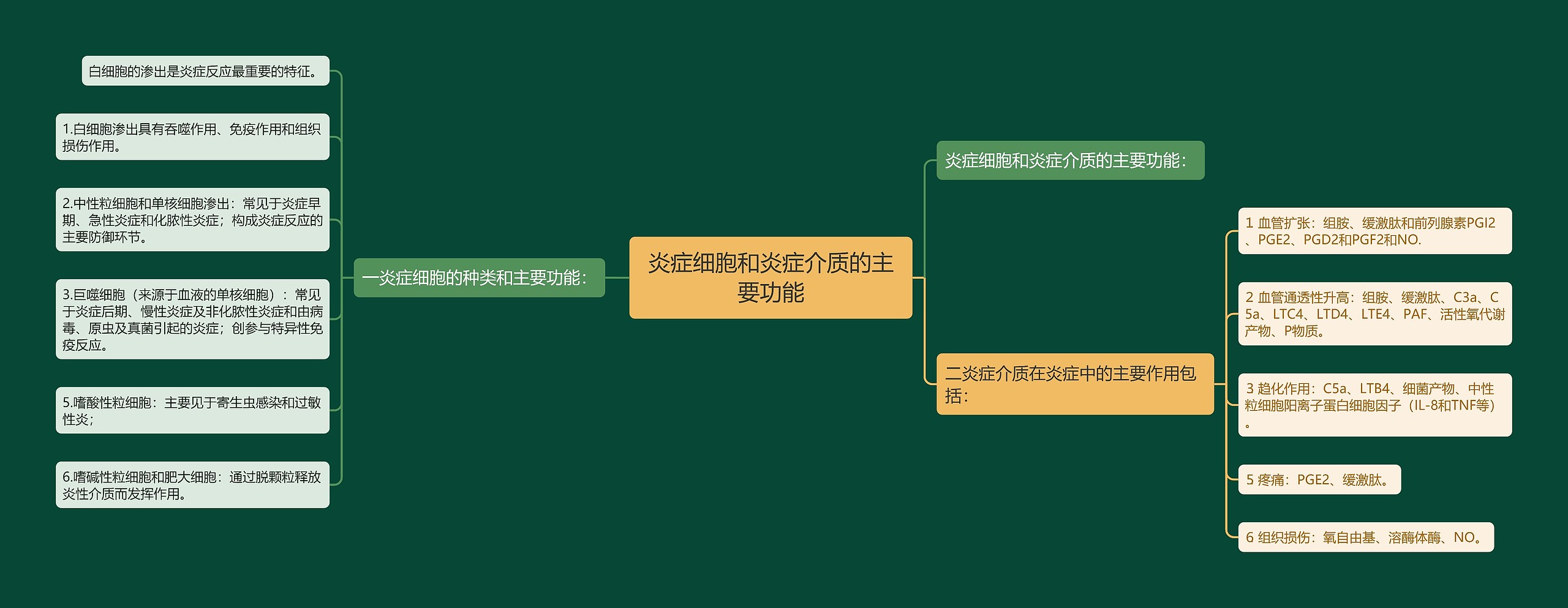 炎症细胞和炎症介质的主要功能思维导图