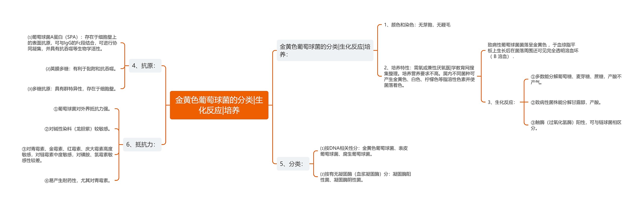 金黄色葡萄球菌的分类|生化反应|培养